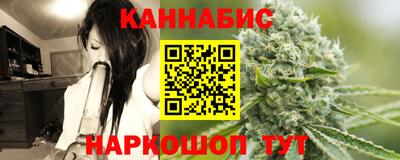 дмт Бердск