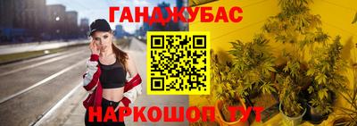 сатива Белореченск